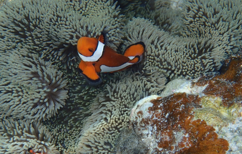 産後の脱毛・発毛促進|抜け毛の悩みや女性の薄毛に【ボメック】
情報サイト